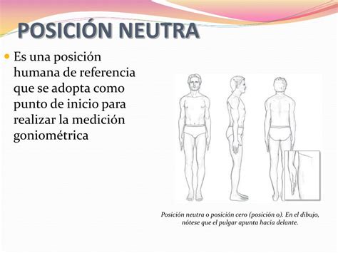 Ppt Kinefilaxia 2 Año Kinesiologia Uflo Powerpoint Presentation Free