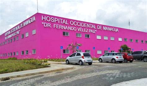 Reportan Leve Aumento En Casos De Dengue Y Malaria Radio La Primerisima