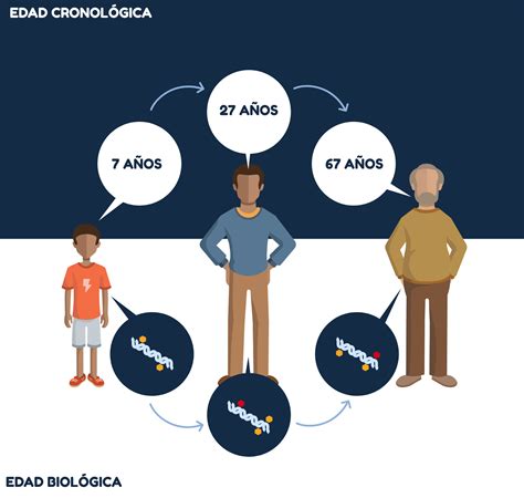 edad biologica  es  como calcularla