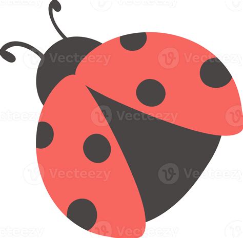 Lady Bug Cartoon 36049402 Png