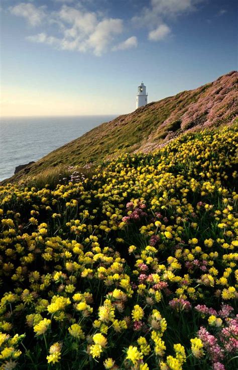 How to Photograph Flowers in a Landscape Scene | Nature TTL