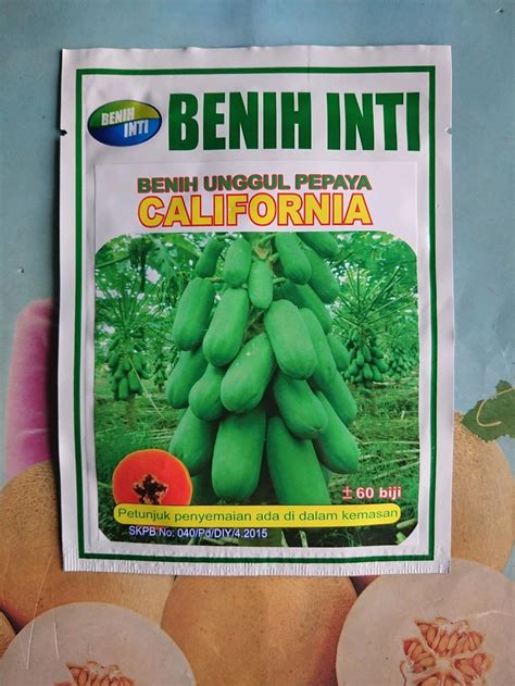 Jual Benih Bibit Pepaya CALIFORNIA 1gr Di Lapak 3R FARM SHOP Me Agoez