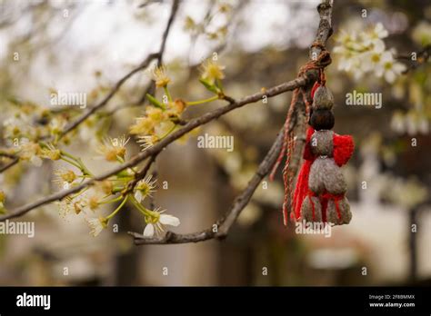 Martenitsa On A Tree Bulgarian Springtime Tradition Stock Photo Alamy