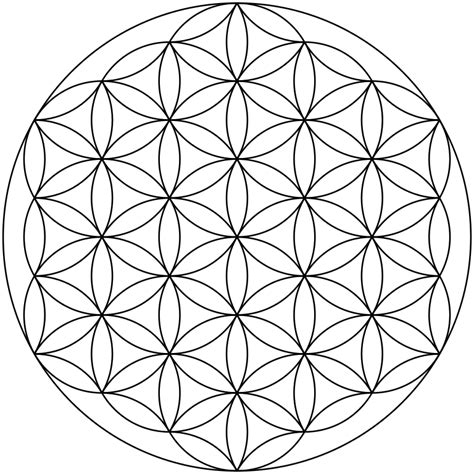 The Flower Of Life Sacred Geometry Meaning | Best Flower Site