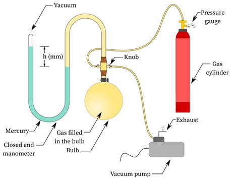 14 Surprising Facts About Avogadro S Law Facts Net