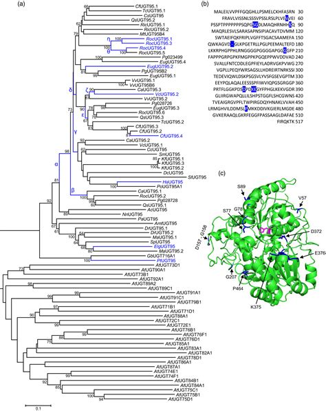 Phylogenomic Analysis Of Udpdependent Glycosyltransferases Provides