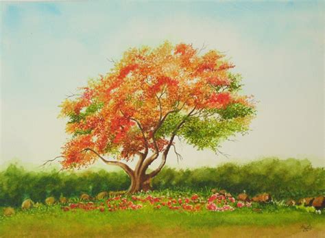 Gulmohar Tree by aakritiarts on DeviantArt