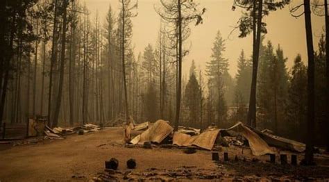 Wildfires Rage In Canadas British Columbia Fire Chief Says ‘finally A