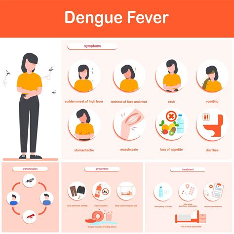 Vector Illustration Infographics Dengue Fever Symptoms Transmission ...