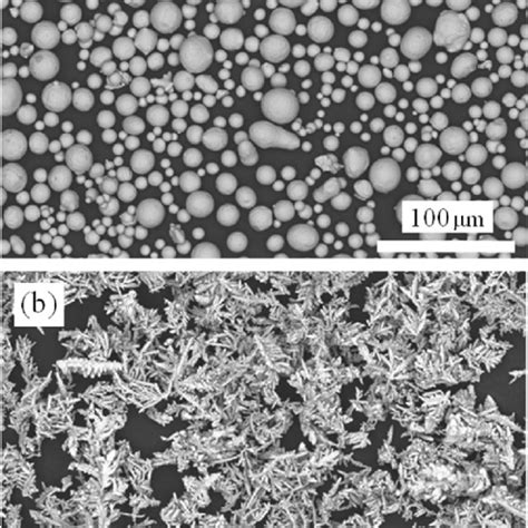 Sem Micrographs Showing The Inconel Powder Enriched With A Wt