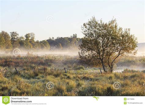 Autumn Morning Mist Stock Image Image Of Scene Deciduous 25776065