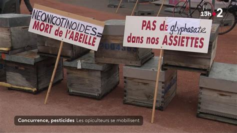 Mise En Pause Du Plan Cophyto Les Apiculteurs Se Mobilisent