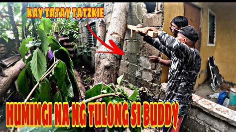 Tandem Sa Pagputol Ng Puno Youtube