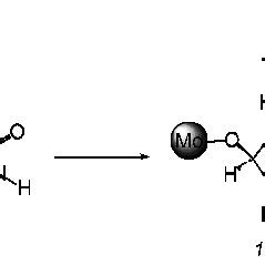 The Proposed Role Of R Capsulatus Xanthine Dehydrogenase Arg 310 Arg