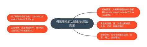 母猪藤根的功能主治用法用量思维导图编号p6934704 Treemind树图