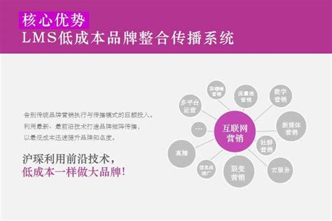 中国做的好的品牌战略咨询公司十大营销策划机构 搜狐大视野 搜狐新闻