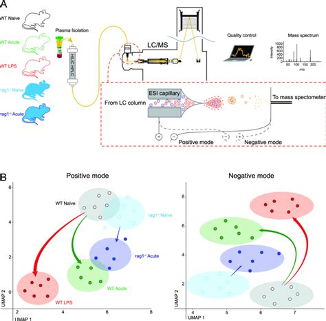 Systemic Inflammation Alters The Metabolomic Profiles Of Circulating