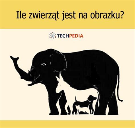 Ile Zwierz T Jest Na Obrazku