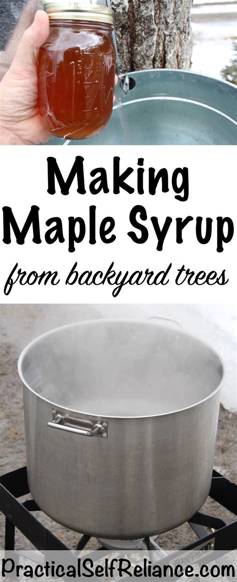 Making Maple Syrup From Backyard Trees