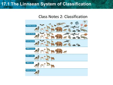 Science Classification System