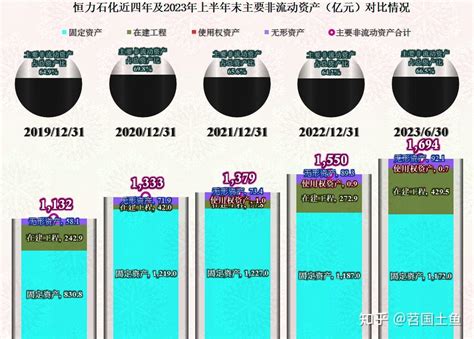 恒力石化的2023年上半年，也只能在行业大潮中随波逐流 知乎