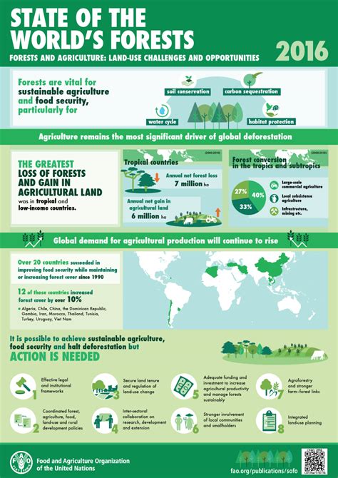 El Estado De Los Bosques Del Mundo The State Of The Worlds