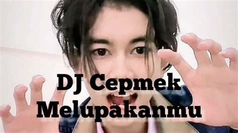 Cepmek Jadi Dj Meluipakanmu Dj Cepmek Kamu Nanya