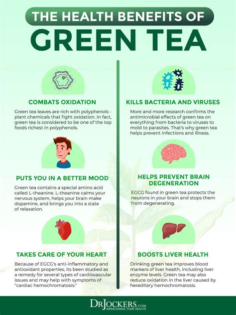 Green Tea Benefits