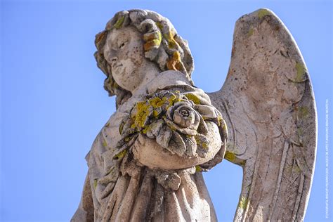 28 Columna compuesta rematada por ángel con ofrenda floral Montoya