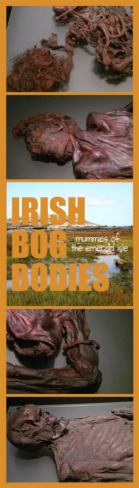 Irish Bog Bodies: mummies of the Emerald Isle