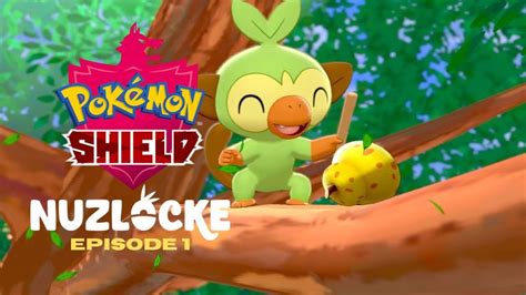 SCARY PECKINGS Pokemon Shield Hardcore Nuzlocke Ep YouTube