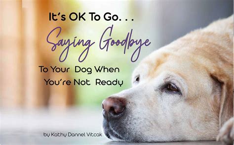 How To Say Goodbye To Your Dog Coping With An Aging Dog The