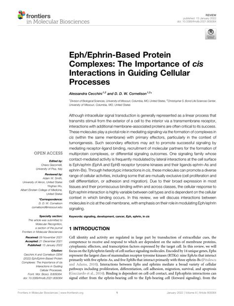 Pdf Eph Ephrin Based Protein Complexes The Importance Of Cis