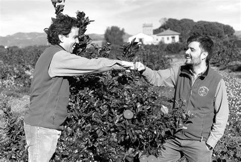 Adoptar un árbol o una huerta el nuevo modelo de consumo sostenible