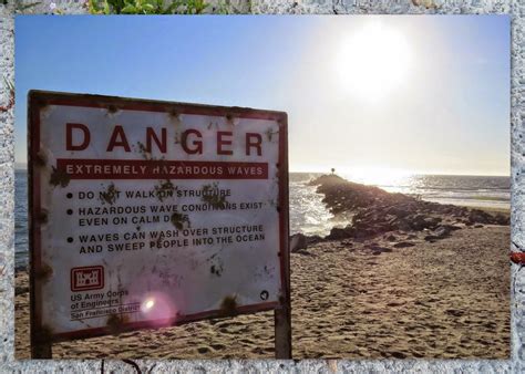 Wildlife Watching at Moss Landing in Monterey County