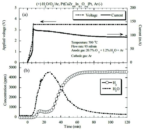 Time Evolution Of Hydrogen And Water Vapor At The Cathode Outlet Under