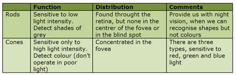 The eye, rods and cones - Biology Notes for IGCSE 2014