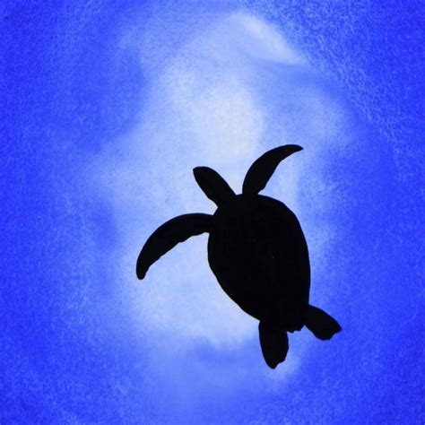 Turtle Silhouette Painting at PaintingValley.com | Explore collection ...