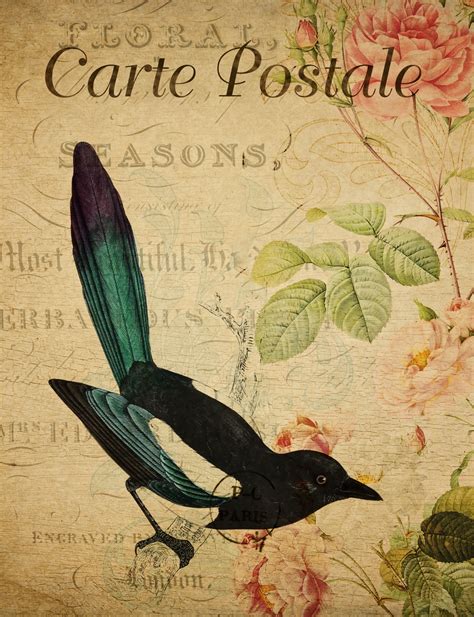 Bird Vintage Floral Postcard Free Stock Photo Public Domain Pictures