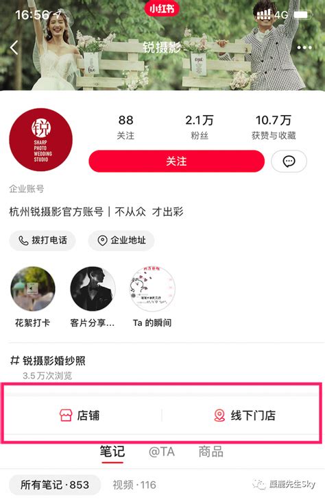 7个维度详解小红书企业号该如何运营【含疑难解答】 鸟哥笔记