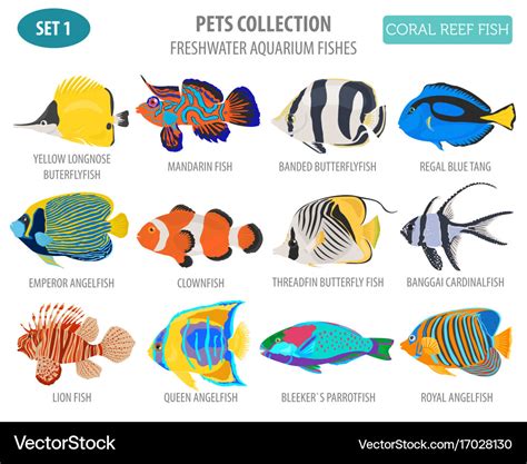 Freshwater aquarium fish breeds icon set flat Vector Image