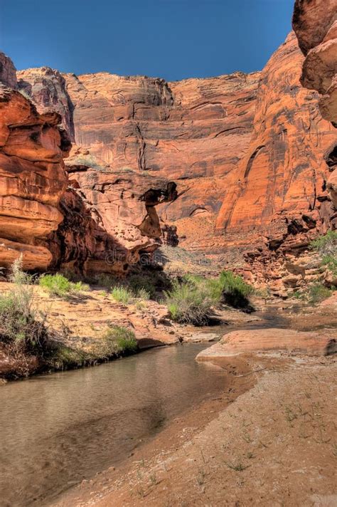 Az Ut Paria Canyon Vermillion Cliffs Wilderness Paria River Canyon