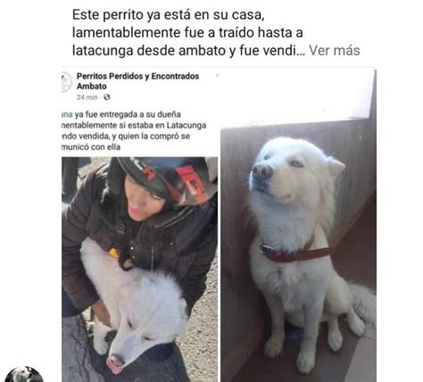 Alerta Me Perdi On Twitter Nos Complace Informar Que Luna Ya Se