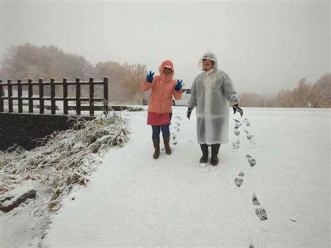 初雪 | ちゅうちゅうの雑記帳