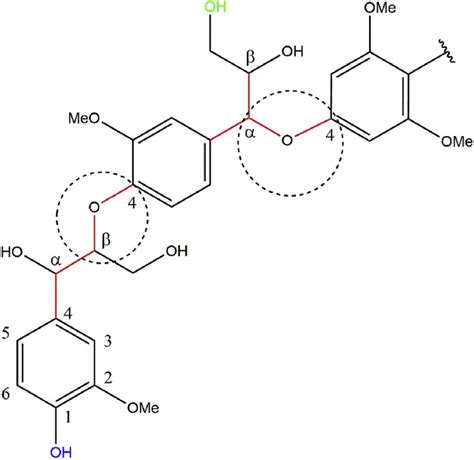 The most reactive bonds types in lignin structure are α O 4 right