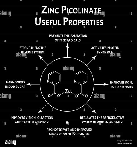 Zinc picolinate useful properties molecular chemical formula. Zinc infographics. Vector ...