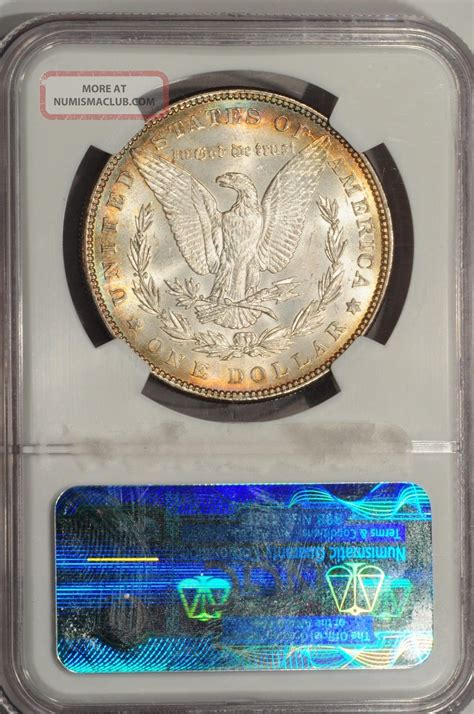 Morgan Silver Dollar Ngc Ms Rainbow Toned Colorful Toning Color