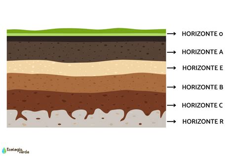 Que Son Los Horizontes Del Suelo Slipingamapa