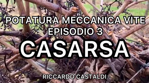 Vite La Potatura Meccanica Episodio 3 Casarsa YouTube