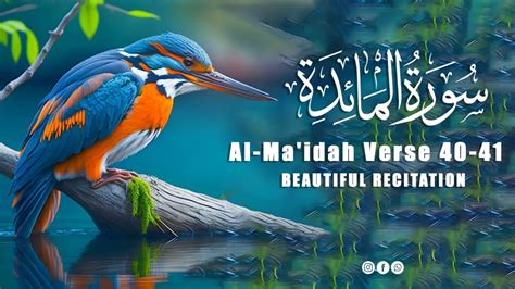 Beautiful Recitation Surah Al Maidah Full With Arabic Text Hd